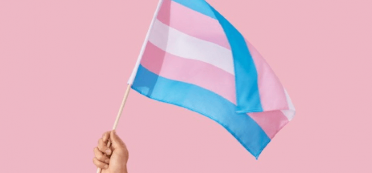 Terapia Hormonal Em Transgêneros